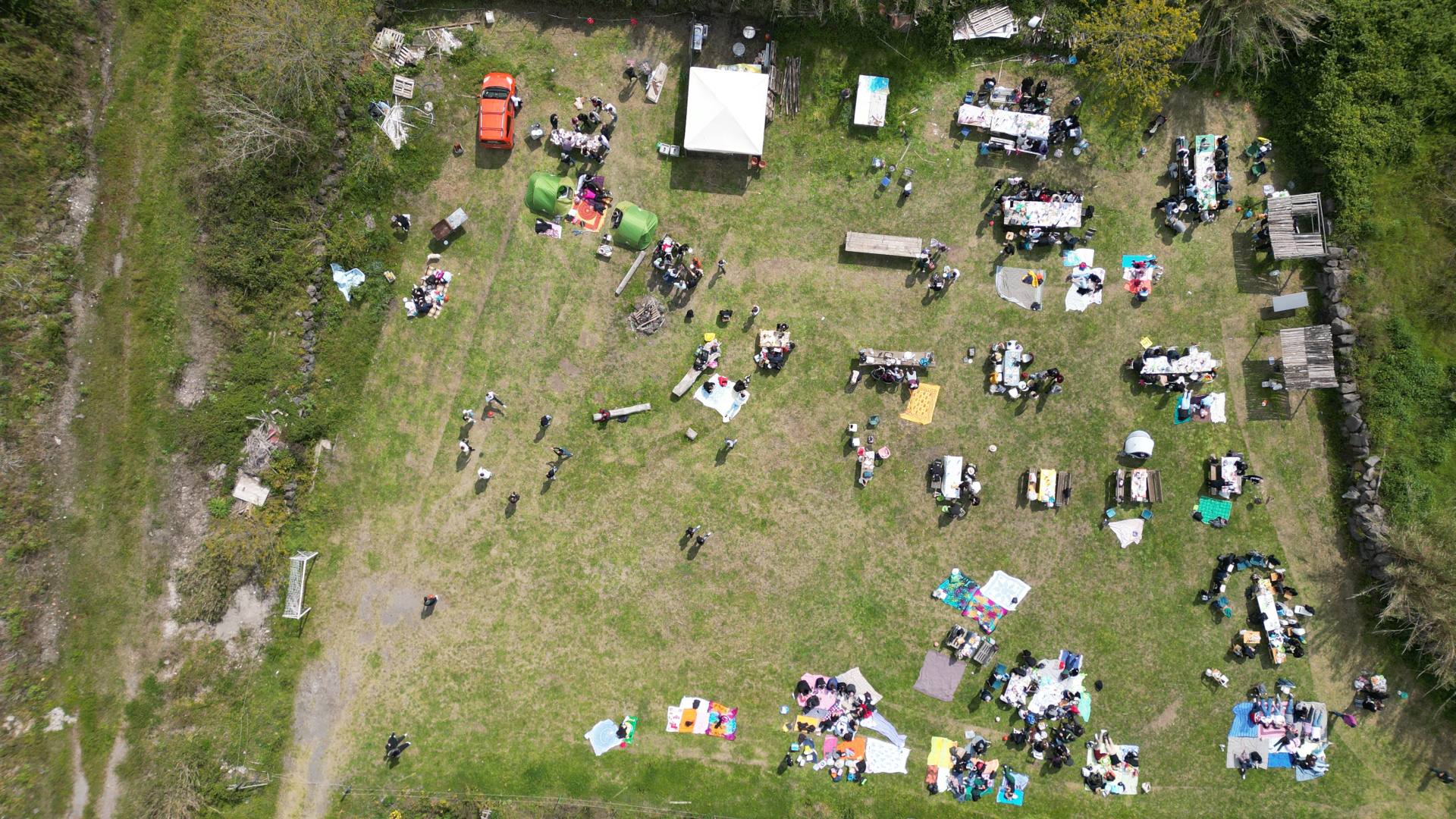 Foto dall'alto che riprende persone in uno spazio verde che fanno picnic